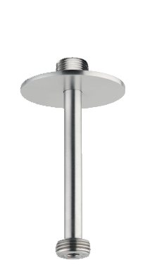 25010 traight shower arm