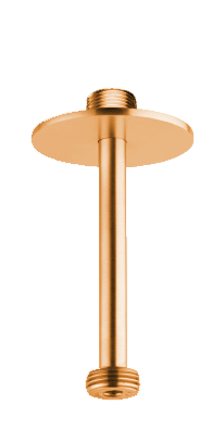 25010 traight shower arm