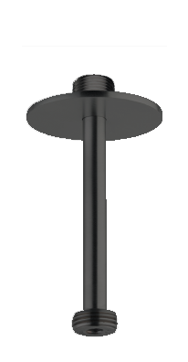 25010 traight shower arm
