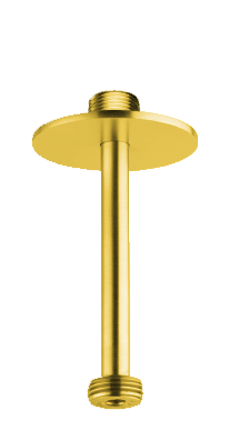 25010