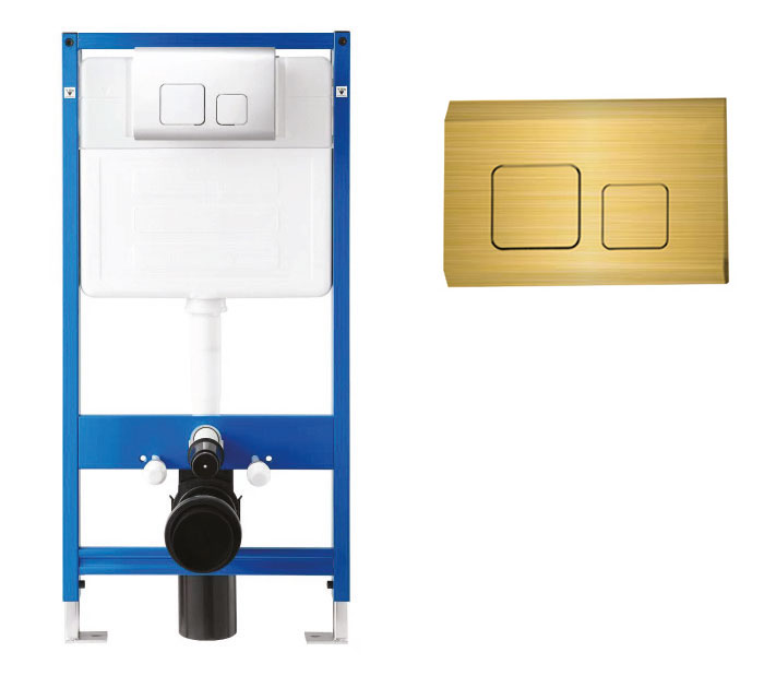 CT202 Dual Flush Plate