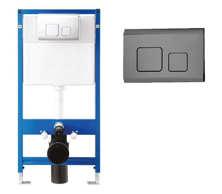 CT202 Dual Flush Plate
