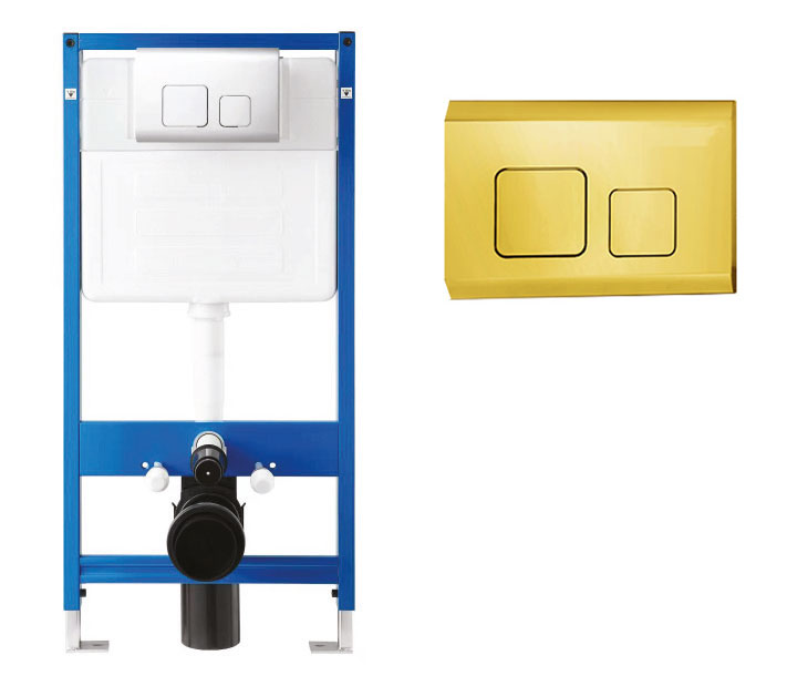 CT202 Dual Flush Plate