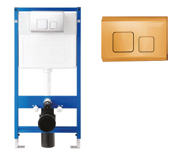 CT202 Dual Flush Plate